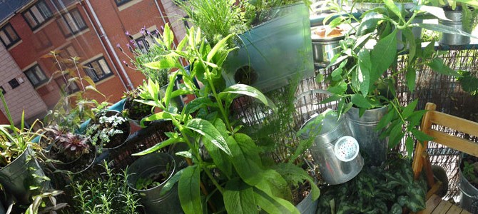 balcony_header
