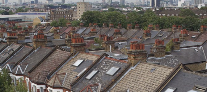 urban_wildlife_header