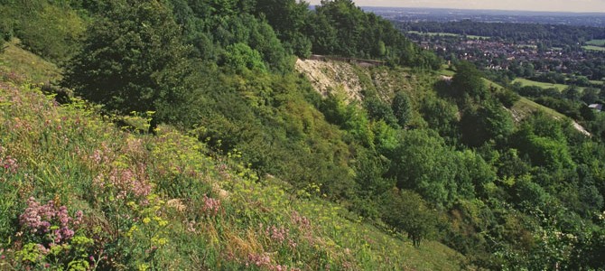 grasslands_header