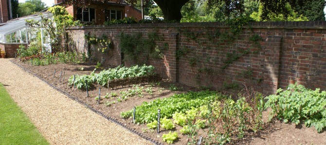 urban_veg_header