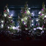 christmas_tree_head2