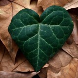 valentines_gift