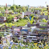 Rurbanite_header