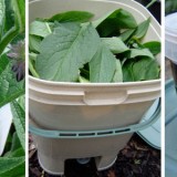 fertiliser_header
