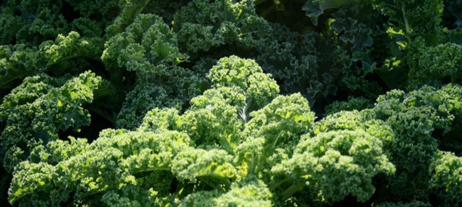 header_greens