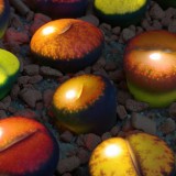 plants_for_kids