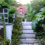 Flight of steps rees st