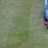 header mowing lawn