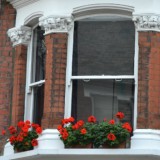 geranium header