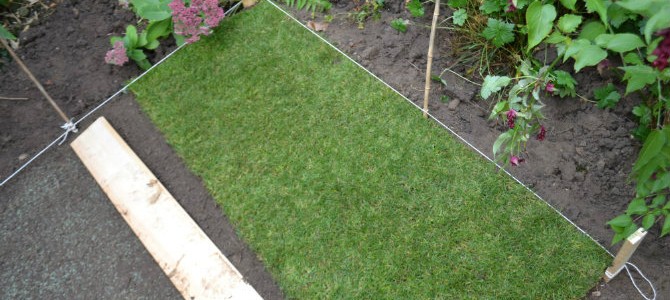 lawn header