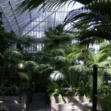 Conservatory  © Courtesy of the Barbican Centre www px