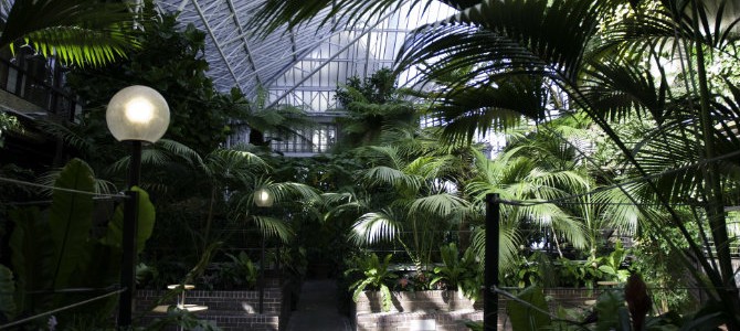 Conservatory  © Courtesy of the Barbican Centre www px