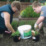 disabled garden Thislldome header