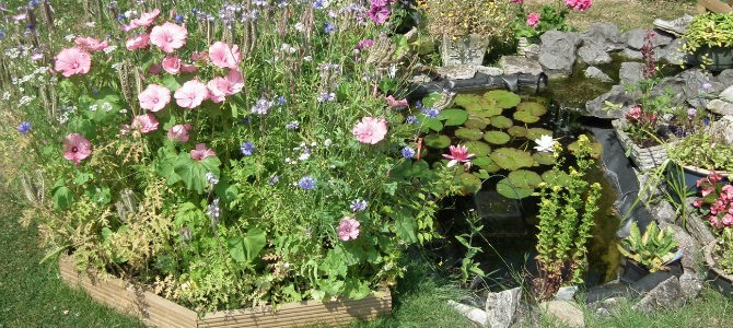 meadow carpet header px
