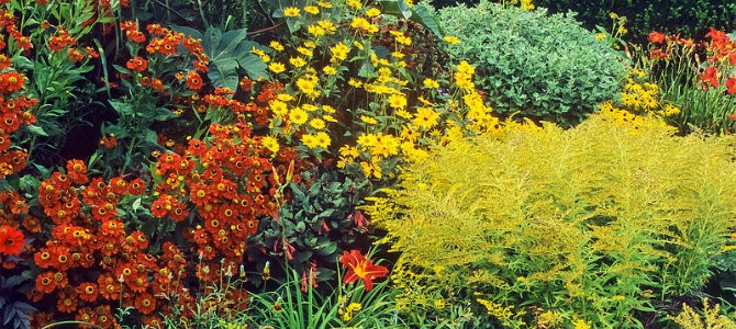 herbaceous header px