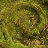 moss sculpture