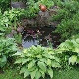 Small Pond 4 header