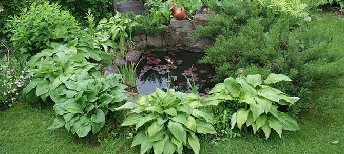 Small Pond 4 header