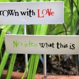plant labels_2 header