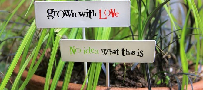 plant labels_2 header