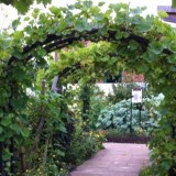 Ryton Gardens