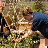 Horticultural therapist Zisky working with veterans on raised beds header