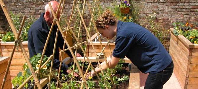 Horticultural therapist Zisky working with veterans on raised beds header