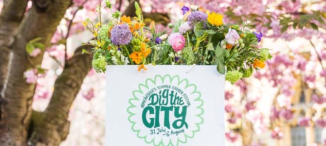 Dig the City 2015