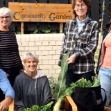 Brondesbury Park community garden