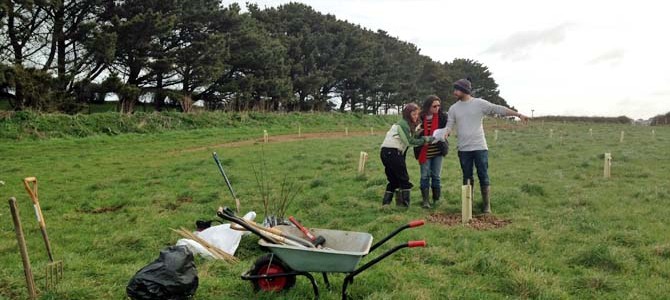 Newquay Community Orchard header
