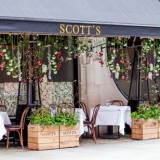 Scott's Marcus Barnett terrace by Sophia Spring header