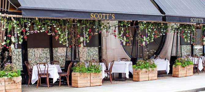 Scott's Marcus Barnett terrace by Sophia Spring header